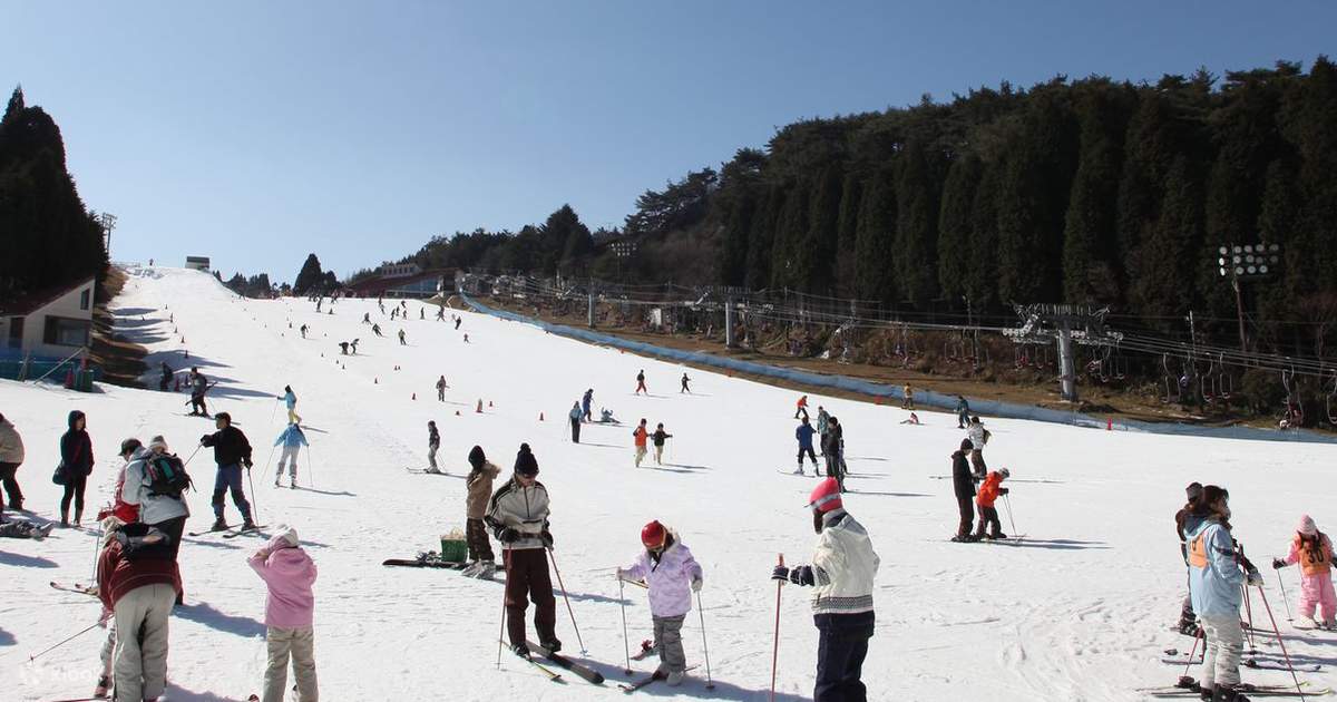 Family Snow Day in Rokko Snow Park in Osaka, Japan Klook Philippines